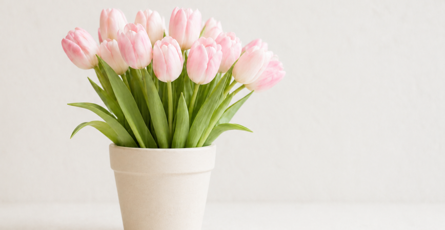 Базовая SEO-оптимизация сайта Rasteks